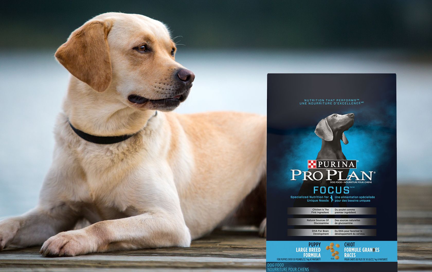 purina pro plan canada