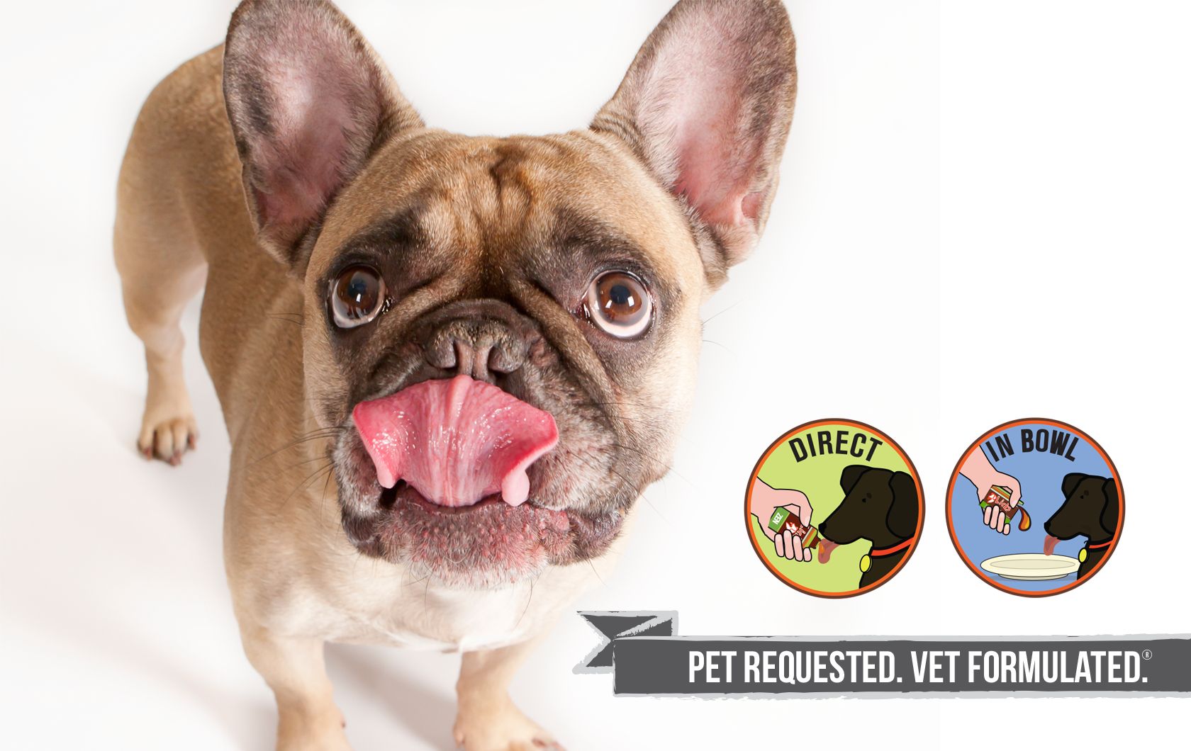 anti lick spray for dogs petsmart