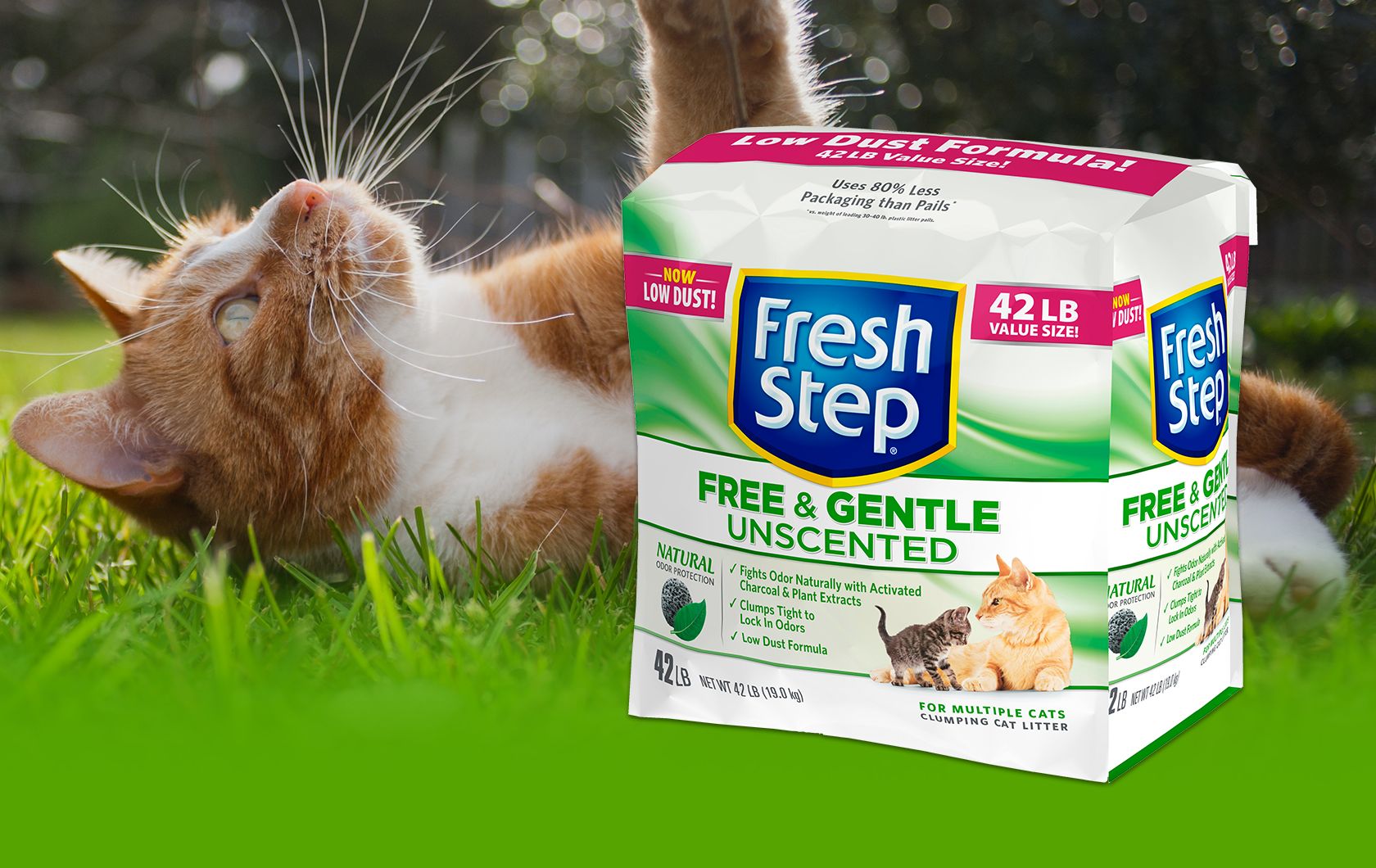 one step cat litter