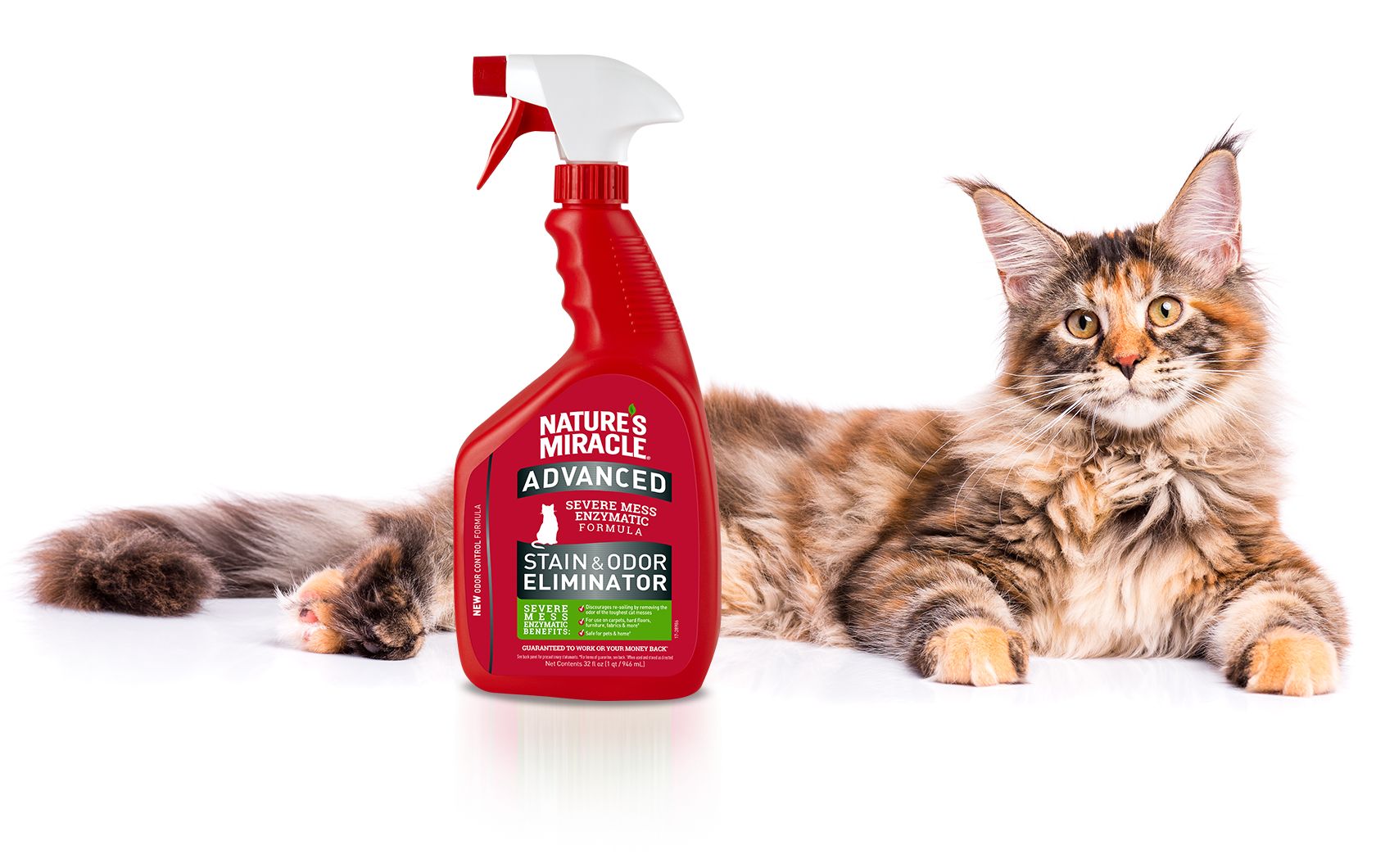 Nature's miracle just outlet for cats advanced formula