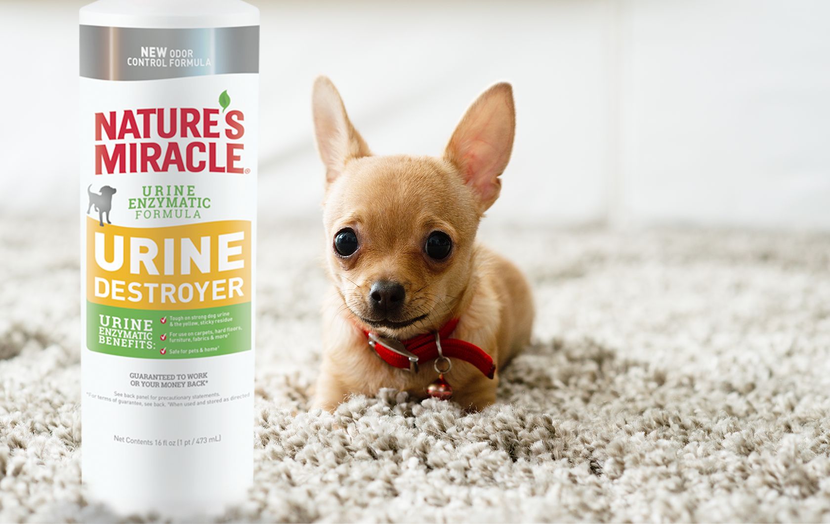 Nature's miracle hotsell carpet shampoo petsmart