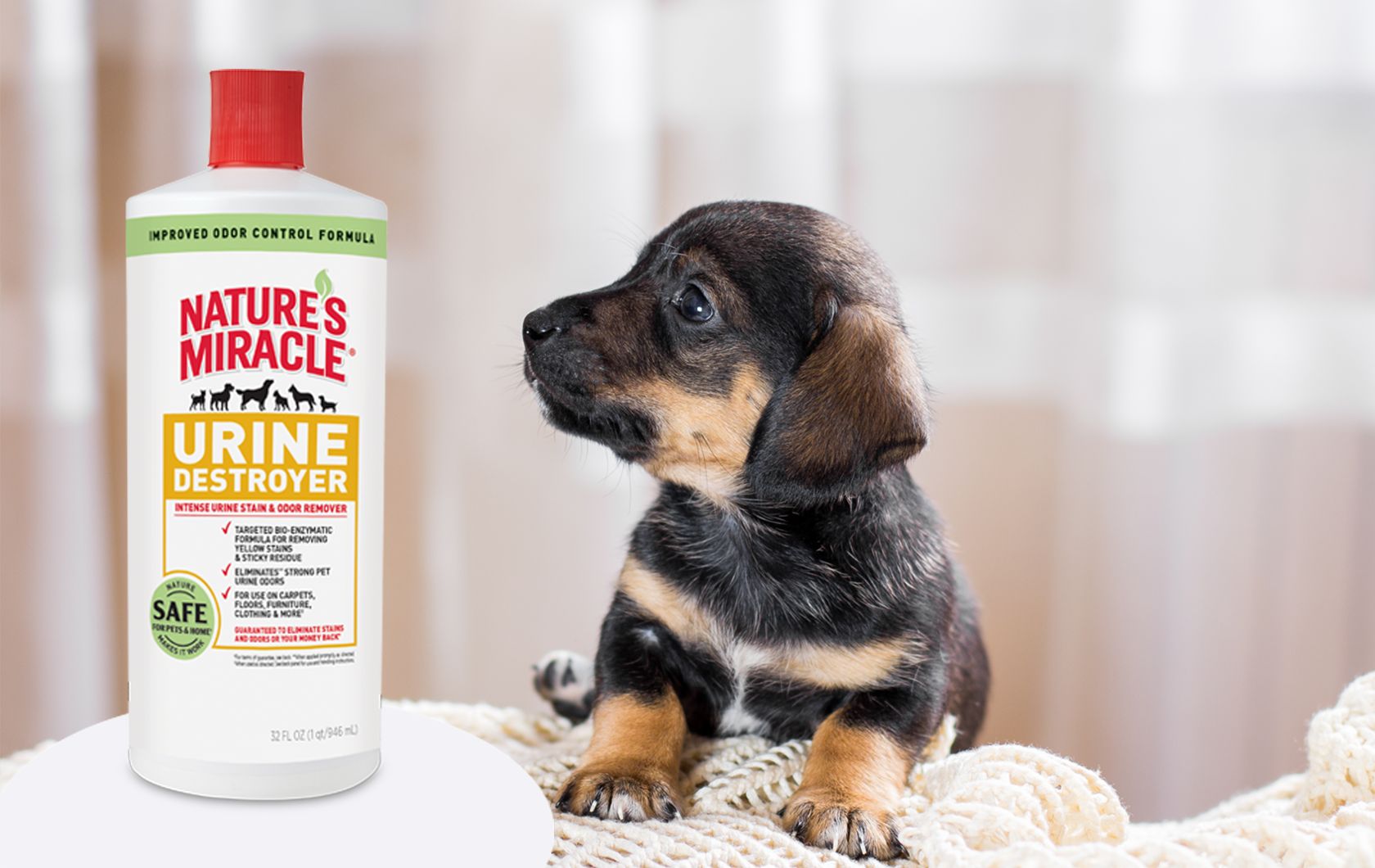 Nature's Miracle™ for Dogs Crates, Pads & Stain Removal PetSmart
