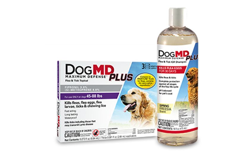 dogmd maximum defense flea and tick shampoo