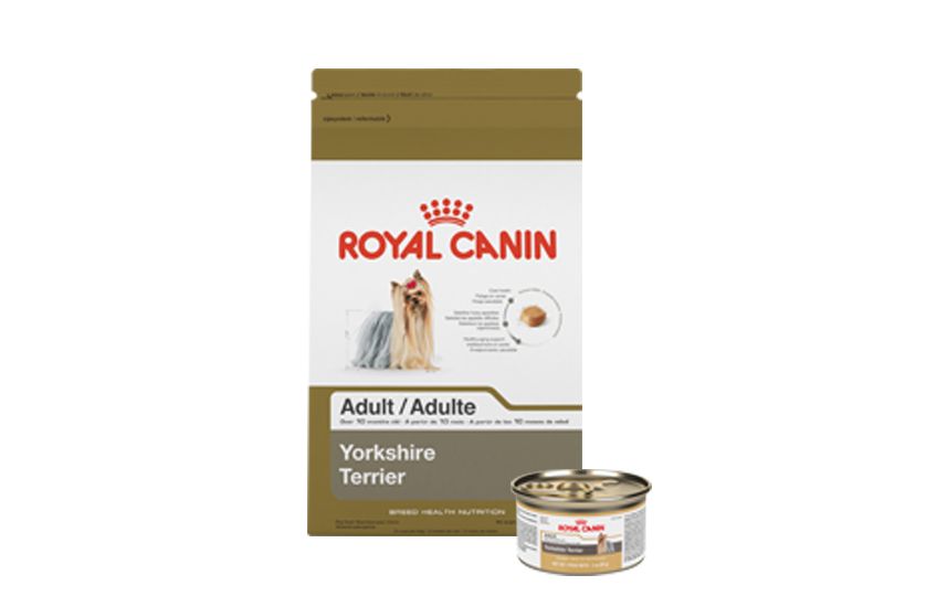 royal canin labrador petsmart