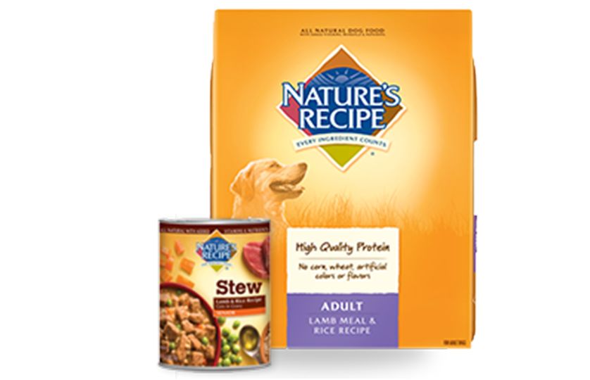 Petsmart nature's recipe grain free sale