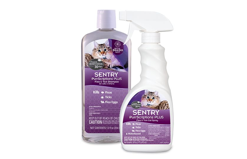 Ear mite treatment for hotsell cats petsmart