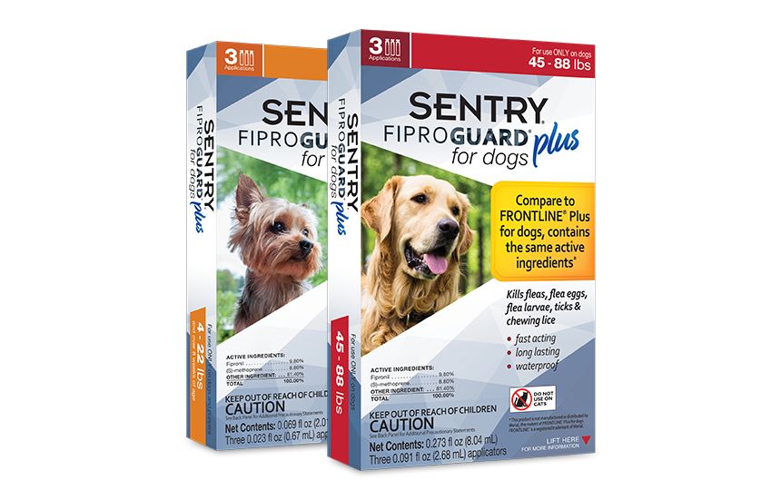 Sentry dual action flea & outlet tick collar for dogs