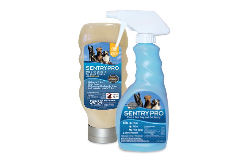 Sentry pro flea and best sale tick spray