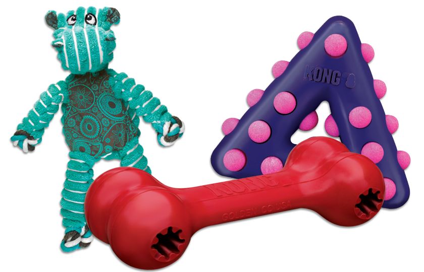 Kong 2025 rubber toys