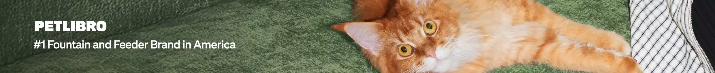 Petlibro #1 fountain and feeder brand in america