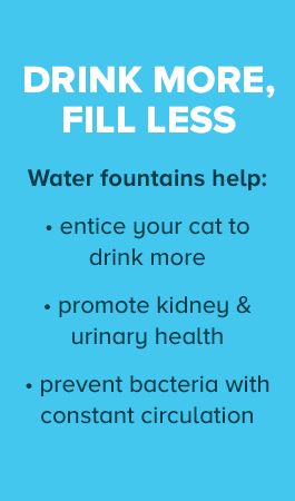 DRINK MORE, FILL LESS Water fountains help: •entice your cat to drink more •promote kidney & urinary health •prevent bacteria with constant circulation