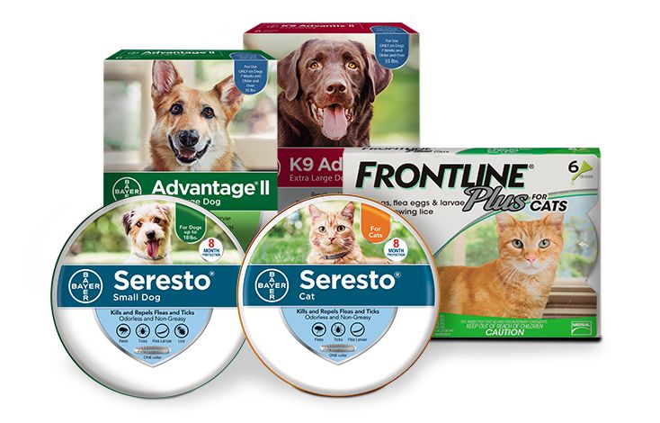 flea pills for dogs petsmart