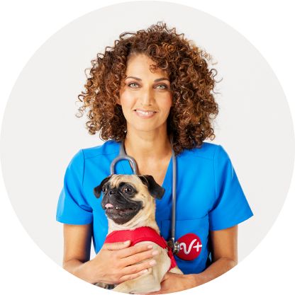 Petsmart vet clinic store hours