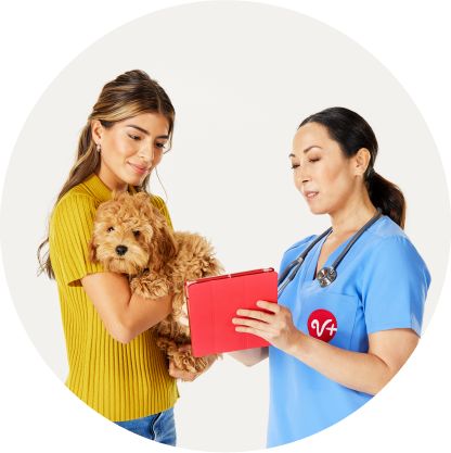 Petsmart vet sale clinic prices