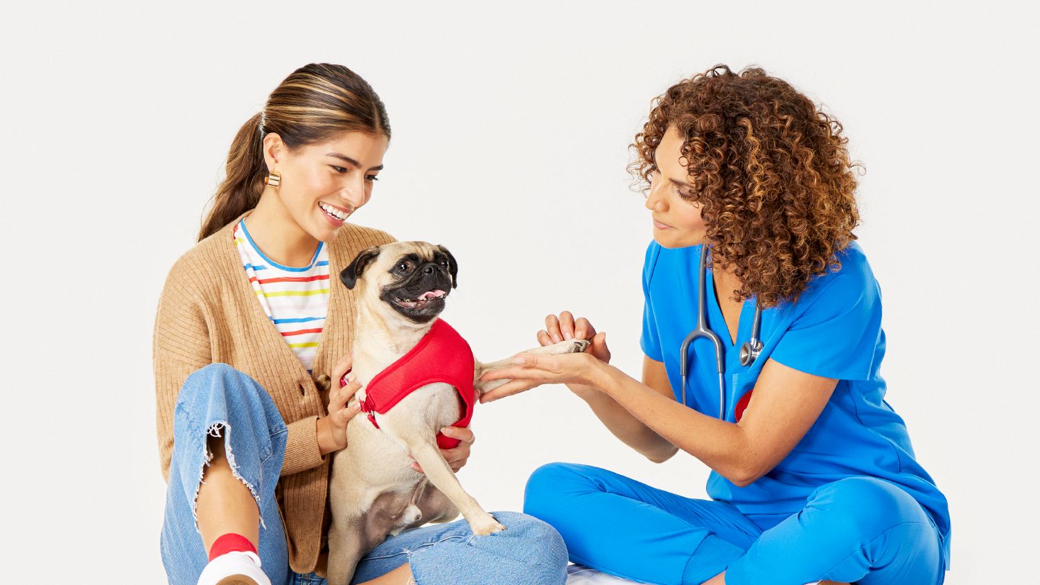 Veterinary Care Pet Hospital Dog and Cat Vets PetSmart Services