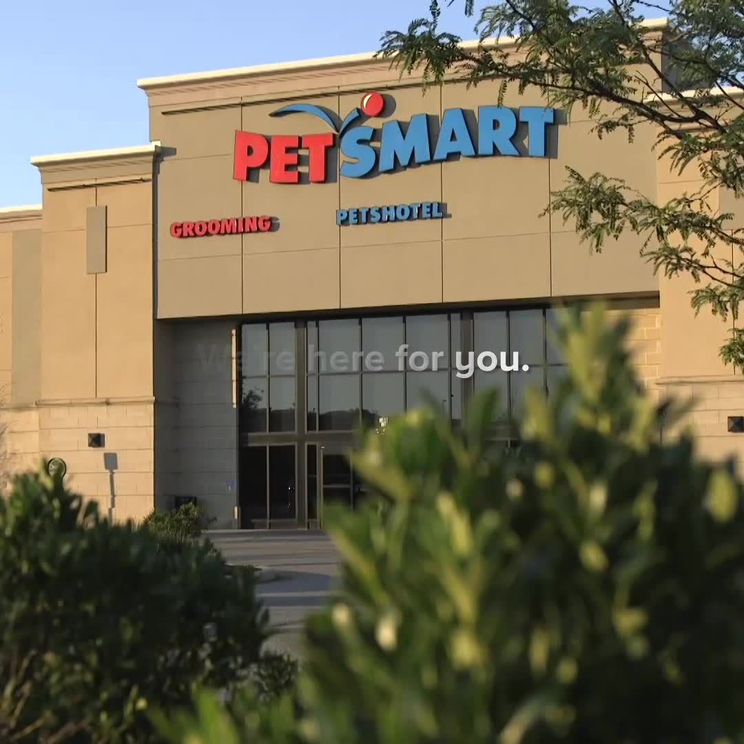 petsmart grooming salon