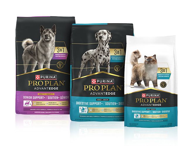 Three bags of dry dog and cat food bags Pro Plan