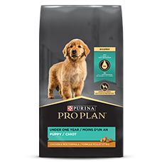 is pro plan a good dog food