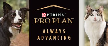 purina pro plan petsmart