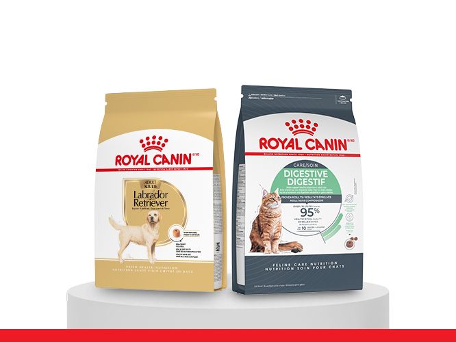 Two large bags dry dog food dog and cat royal canin