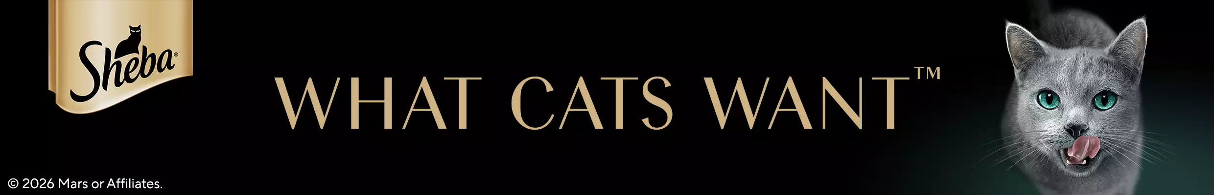 Sheba logo with what cats want text. Cat standing next to it with black background.