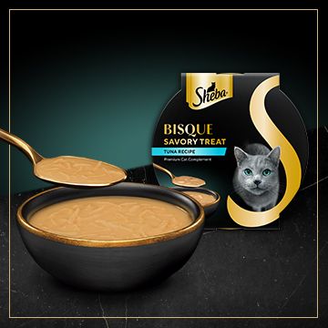 Bowl of Sheba bisque savory treat next to packaging