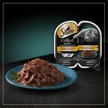 Plate of Sheba grilled bites wet cat food next to packaging