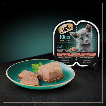 Plate of Sheba wet kitten food next to packaging 