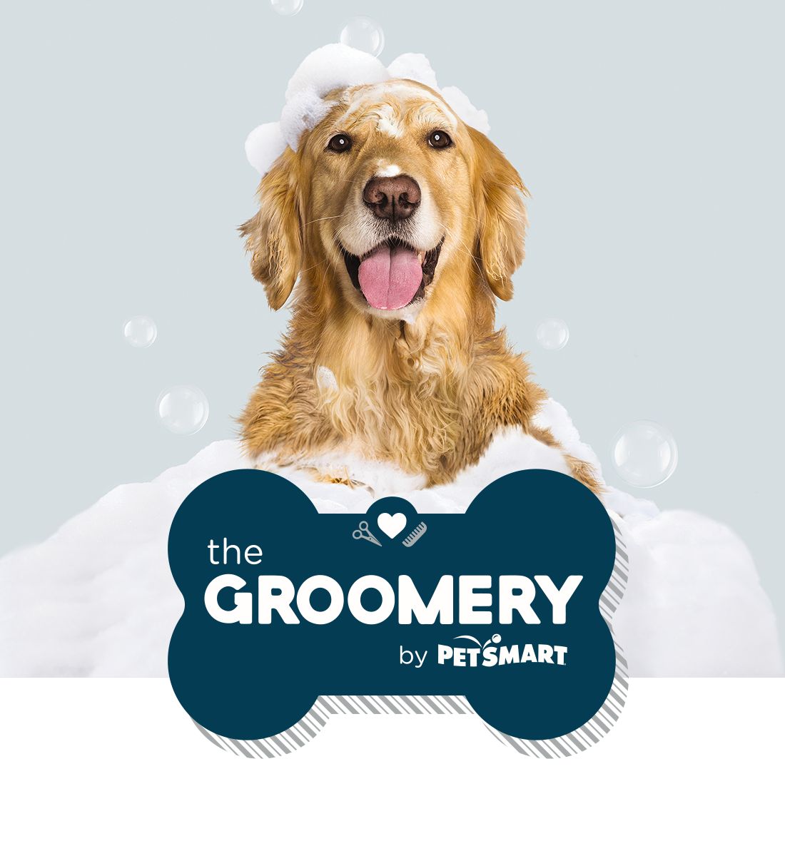 dog grooming places