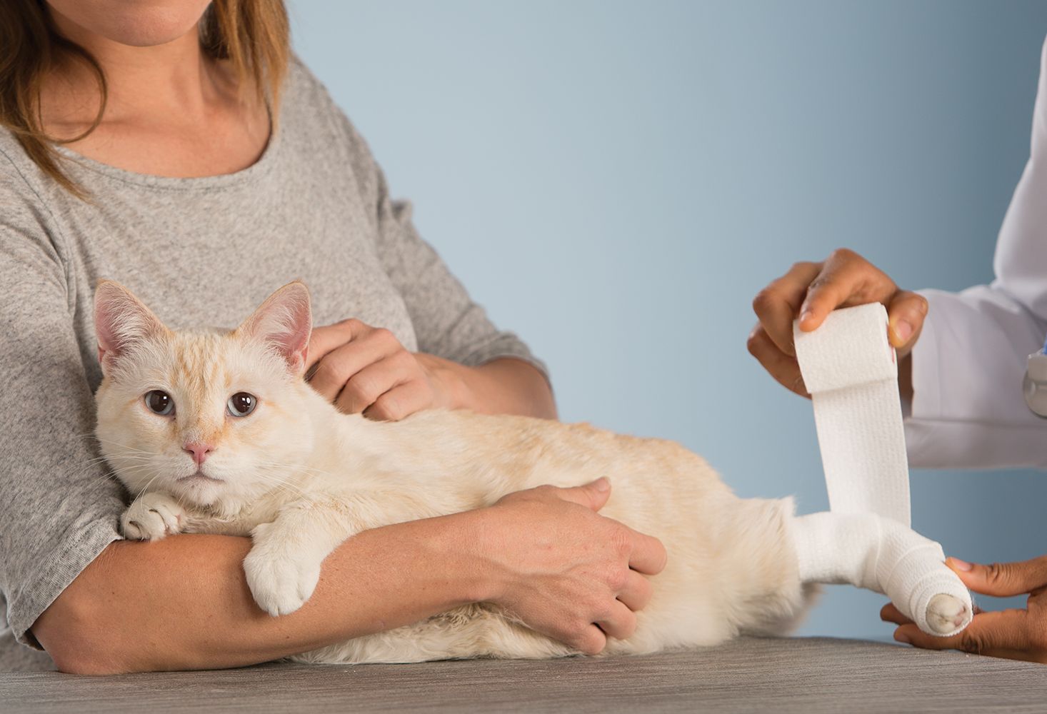 Petsmart animal clearance hospital near me