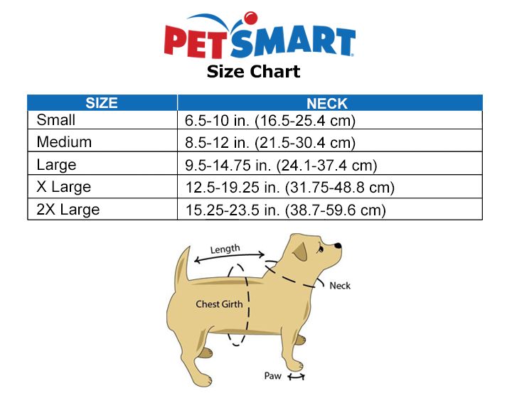 soft e collar petsmart