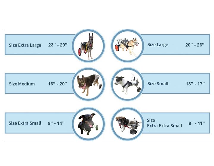 Best Friend Mobility Rear Support Dog Wheelchair | dog Strollers