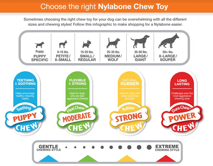 nylabone puppy triple pack