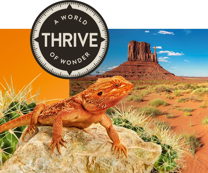 Thrive Sphagnum Reptile Moss, reptile Substrate & Bedding, PetSmart