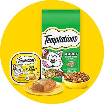 Temptations dry and wet food on a yellow circle background