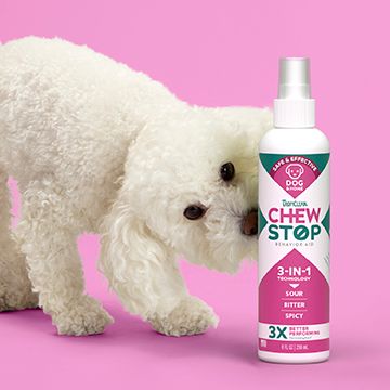 White dog near bottle of Chew Stop Spray