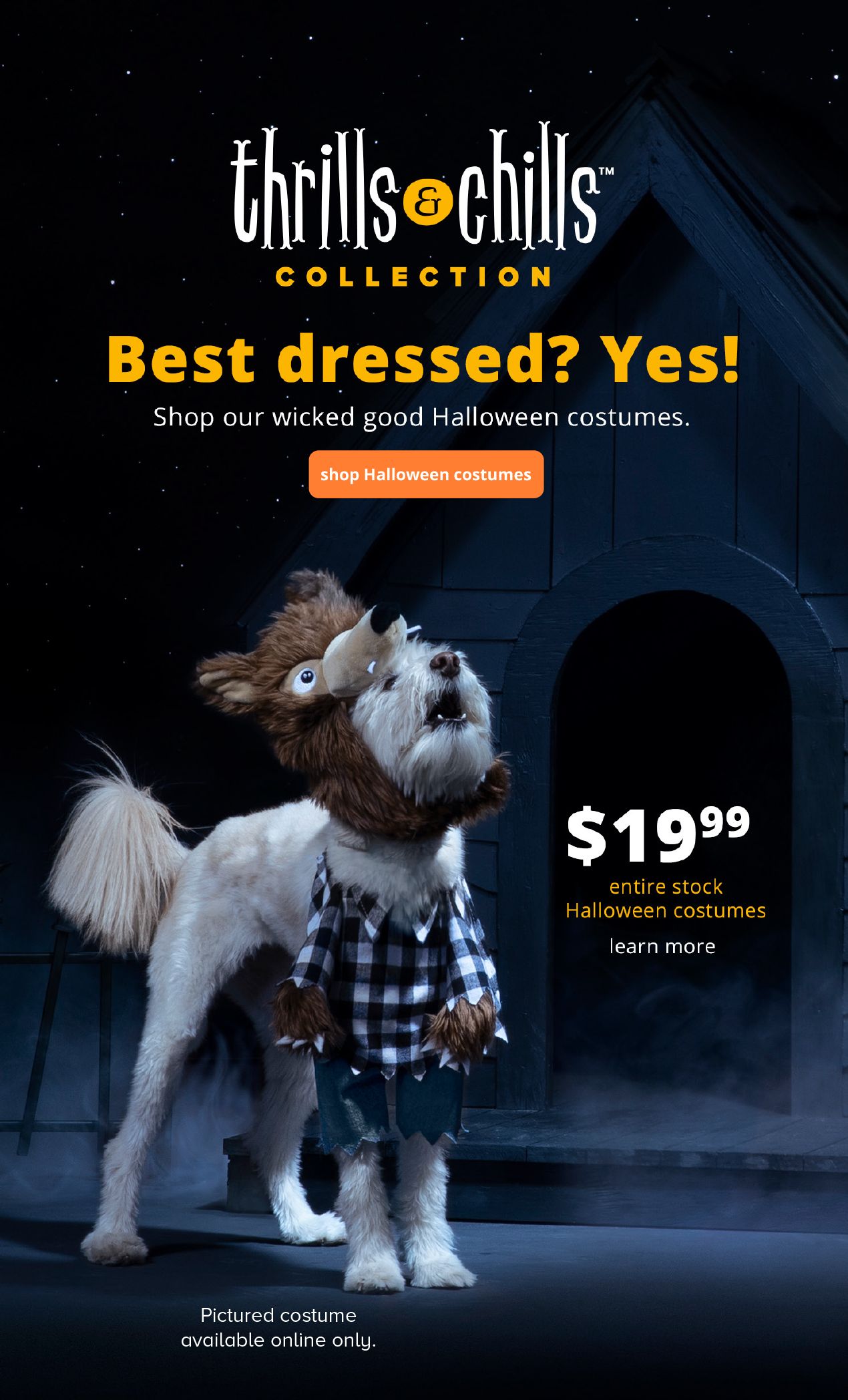 thundershirt petsmart