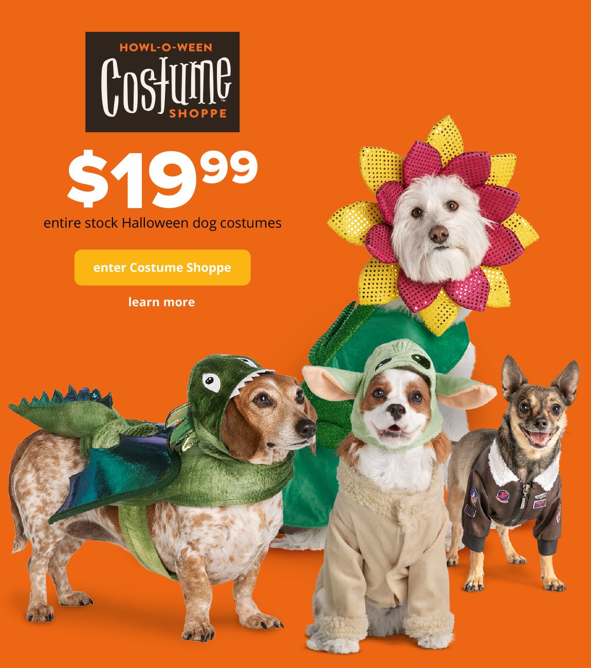 capstar for dogs petsmart