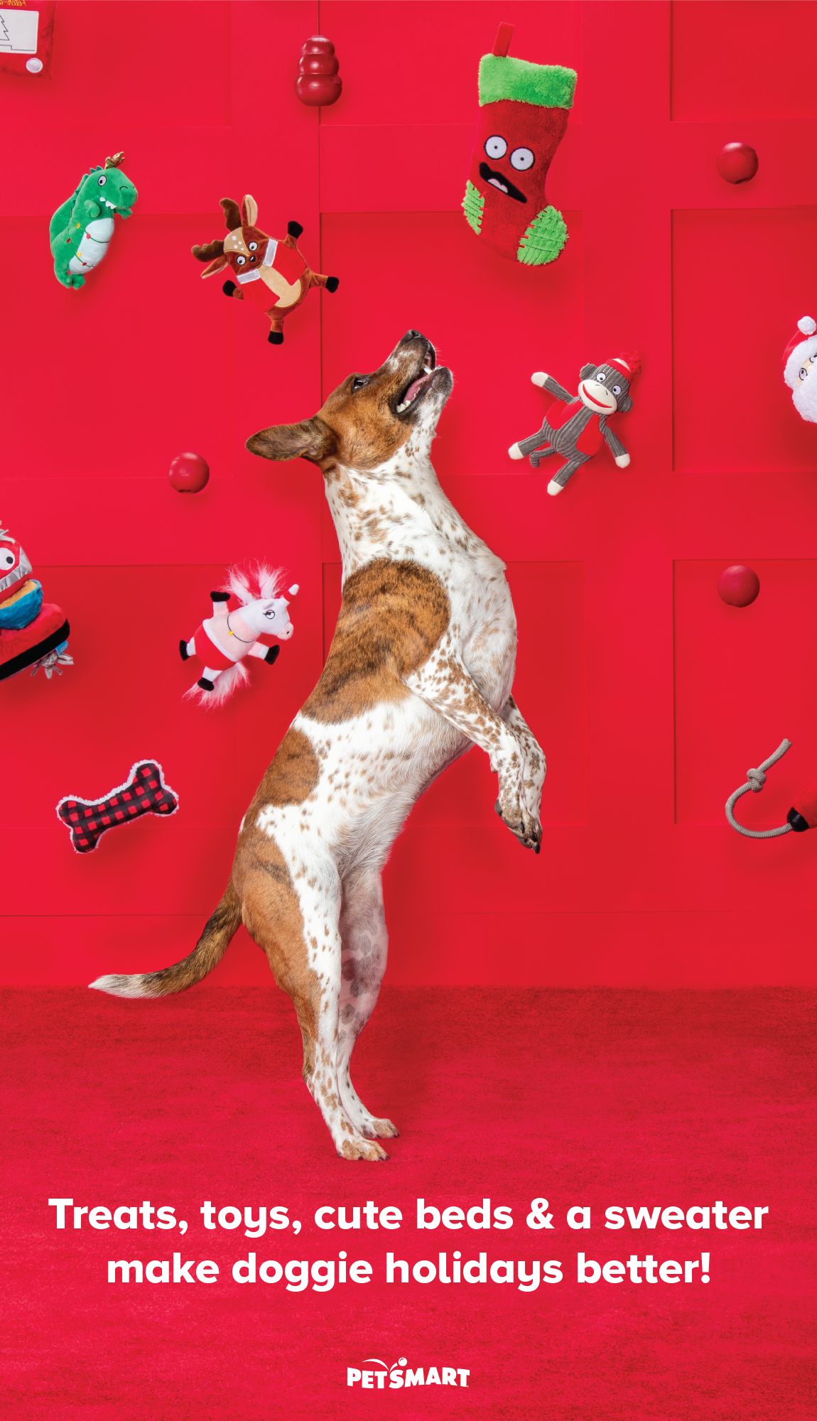 vets for pets merry hill phone number