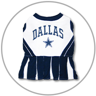 Dallas Cowboys NFL cheerleader outfit is pictured. Outfit is blue and white with the word 'Dallas' scripted on the top.