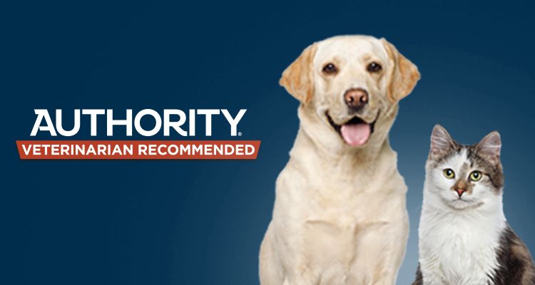 Authority Pet Food Treats