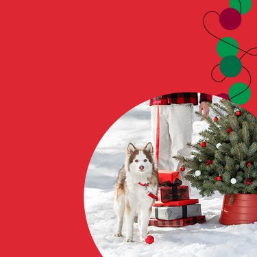 Pet Supplies, Accessories and Products Online  PetSmart