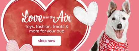 Love is in the air - Toys, fashion, treats & more for your pup