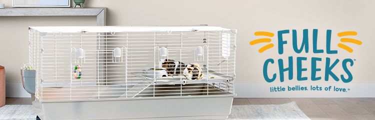 Petsmart guinea 2024 pig supplies