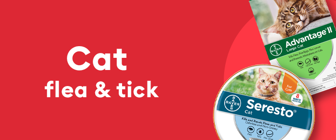 Cat flea & tick