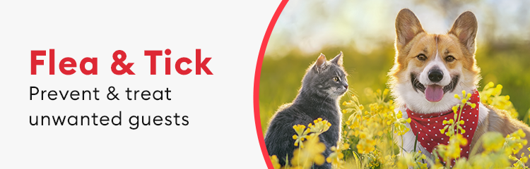 Tick medicine outlet for dogs petsmart