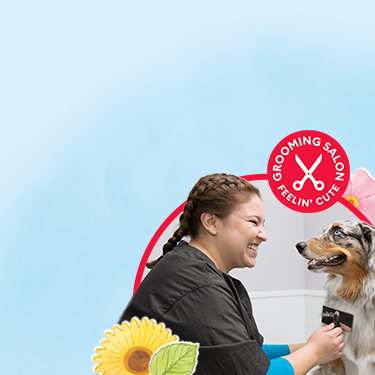 PetSmart Grooming Prices 2022 (Dogs, Cats, Puppies + More)