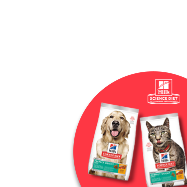 PetSmart Hotel 2022 (Price, Locations, Cleanliness + FAQs)