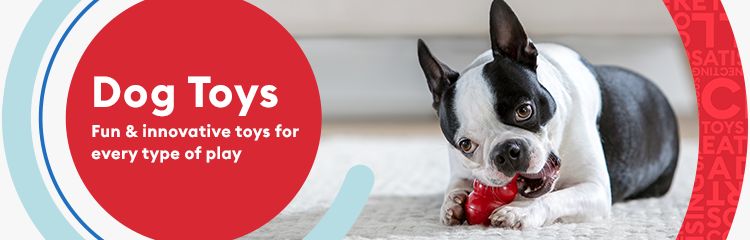 Dog Toys & Puppy Toys: Fun & innovative toys for every type of play