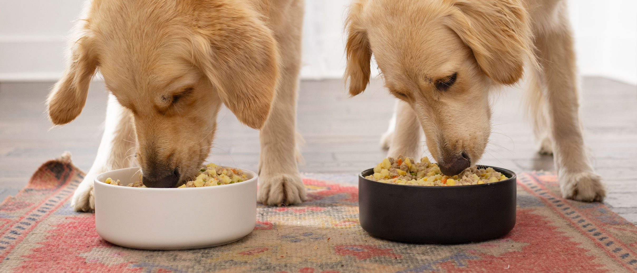 Petsmart brand outlet food